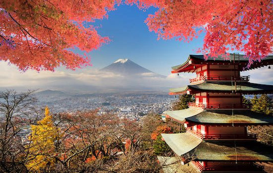 Pitch Accent in Japanese: Why It Matters