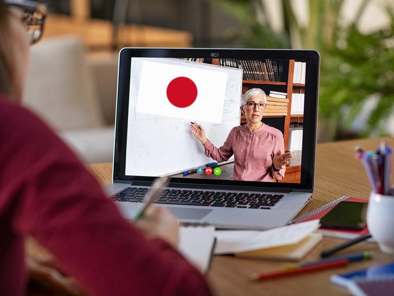 The Visual Pronunciation Approach for Japanese