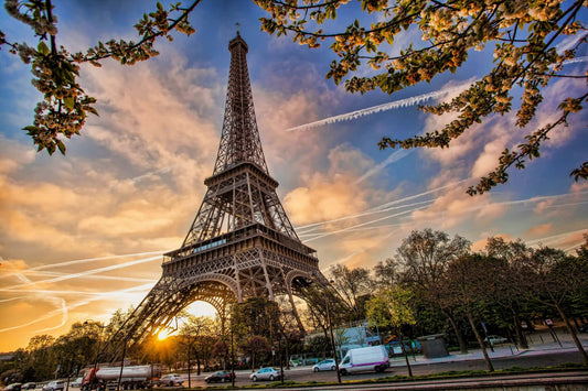 Can You Learn French on Your Own? The Honest Answer in 2025