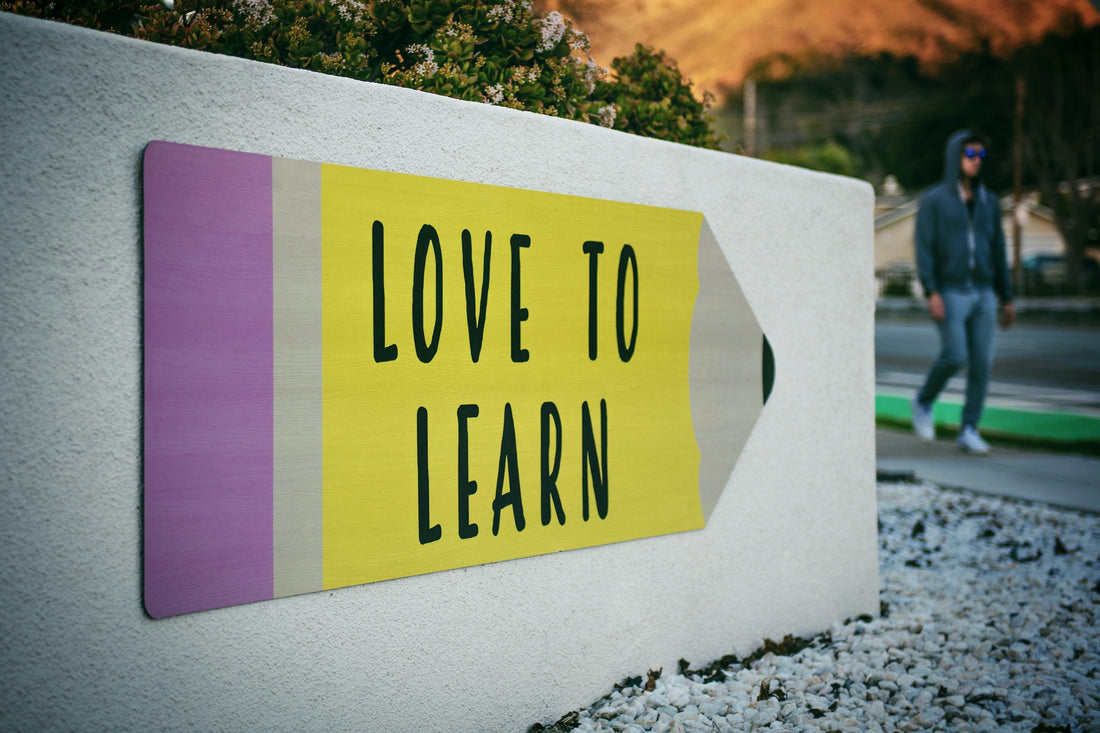 Best Way to Learn a Language as an Adult (No Classroom Required)
